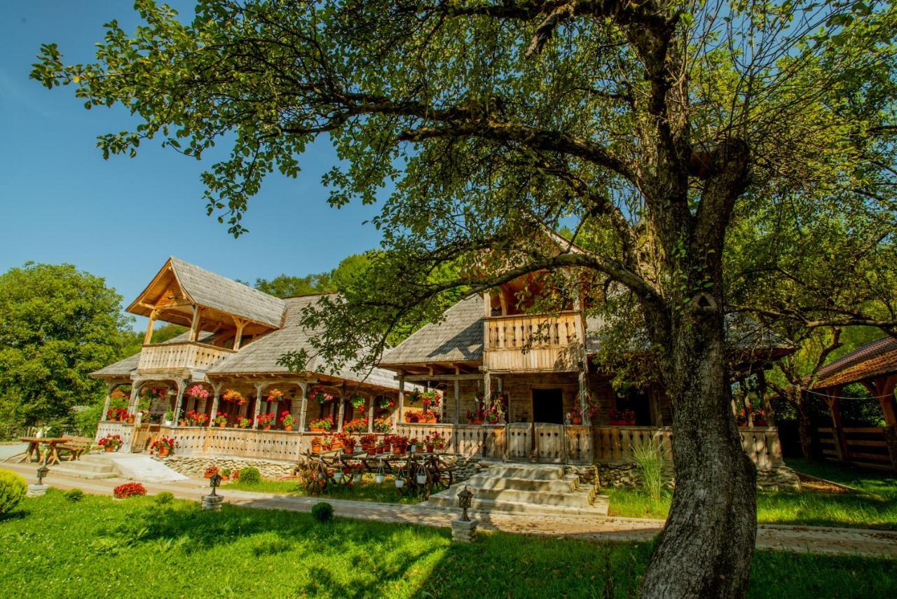 Casutele Din Moisei Hotel Exterior photo